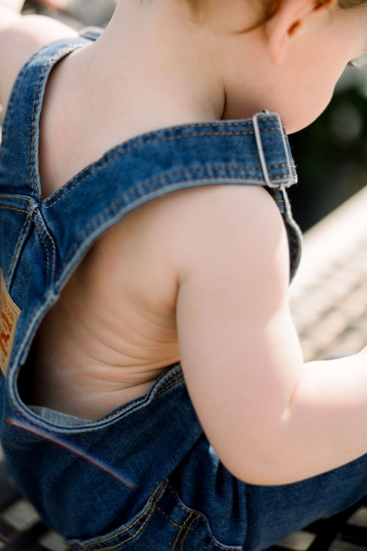 Meadow Denim Overall worn outdoors in a green meadow